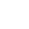 phone-icon